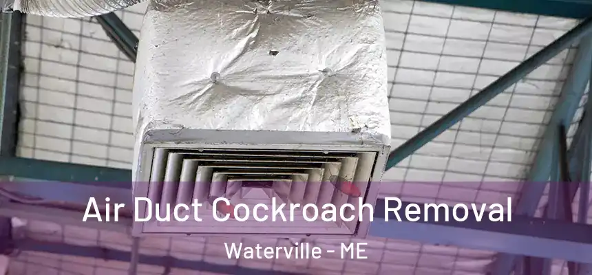  Air Duct Cockroach Removal Waterville - ME