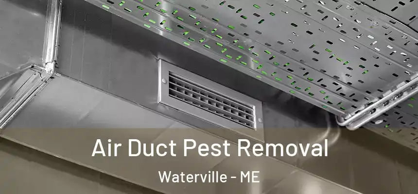  Air Duct Pest Removal Waterville - ME