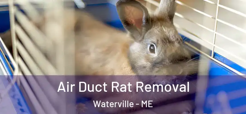  Air Duct Rat Removal Waterville - ME