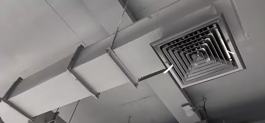 Our Pest Removal From Ducts Services in Waterville, ME