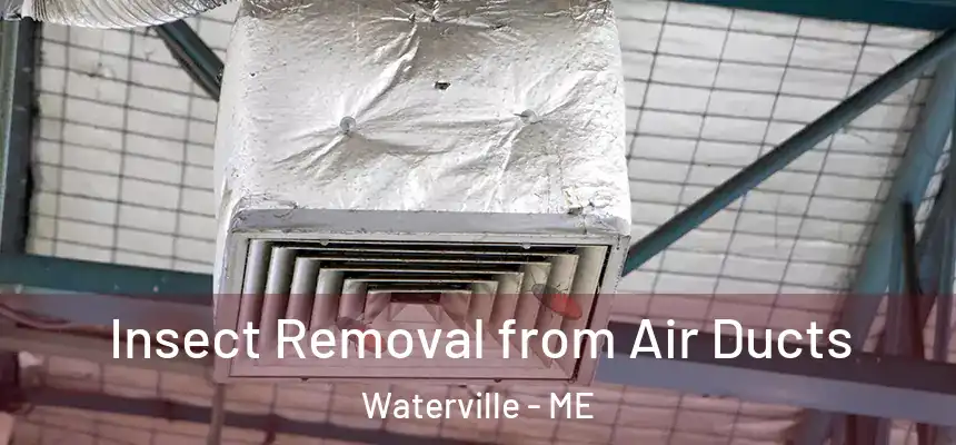  Insect Removal from Air Ducts Waterville - ME