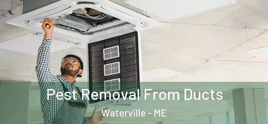  Pest Removal From Ducts Waterville - ME