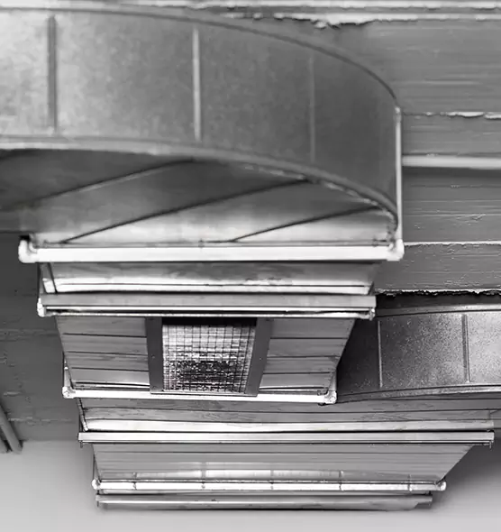 Professional Air Duct Pest Removal in Waterville, ME