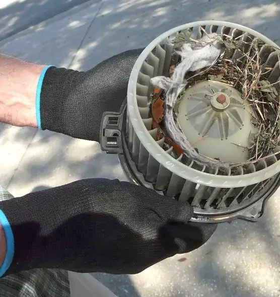 About Air Duct Rat Removal in Waterville, ME