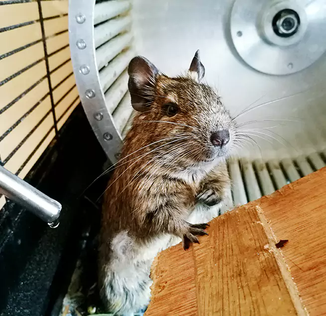 Why Homeowners & Businesses Trust Us Waterville, ME?